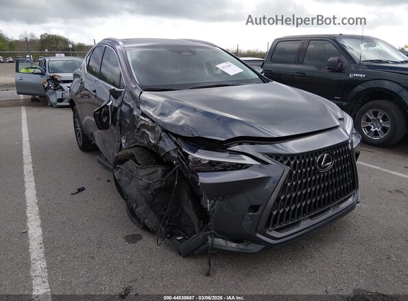 JTJGDCAZ8N5005083 2022 LEXUS NX 250 Gray Delantero derecho