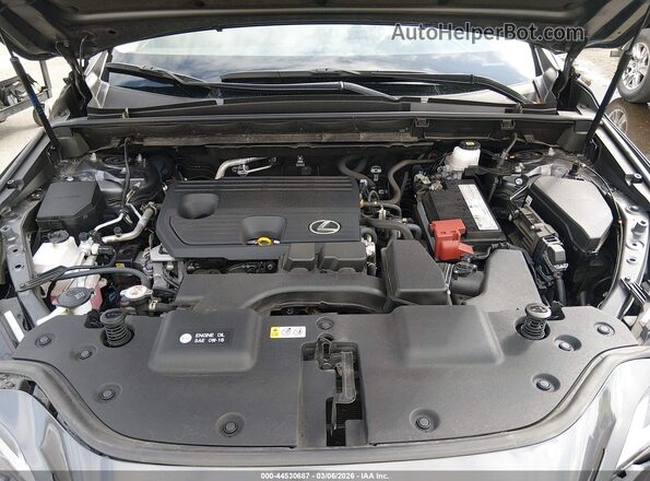 JTJGDCAZ8N5005083 2022 LEXUS NX 250 Gray Vista trasera