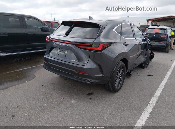 JTJGDCAZ8N5005083 2022 LEXUS NX 250 Gray Trasero derecho