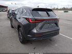 2022 Lexus Nx 250 Premium Gray vin: JTJGDCAZ8N5005083