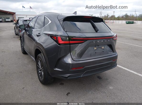 JTJGDCAZ8N5005083 2022 LEXUS NX 250 Gray Trasero izquierdo