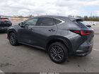 2022 Lexus Nx 250 Premium Gray vin: JTJGDCAZ8N5005083