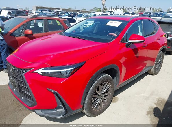 JTJGGCEZ8N2004146 2022 LEXUS NX 350 Red Передня ліва чверть