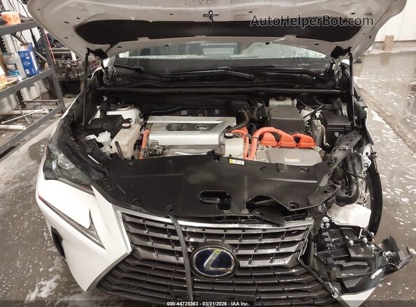 JTJGJRDZ2L5000983 2020 LEXUS NX 300H White Widok z tyłu