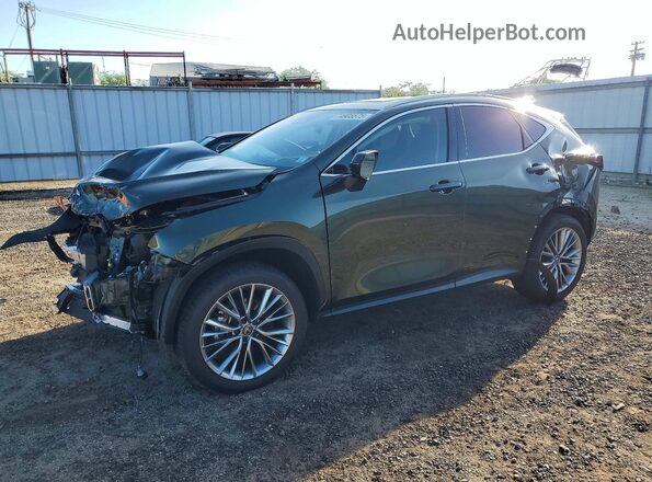 JTJGKCEZ2S2048881 2025 LEXUS NX Зеленый Передняя левая четверть