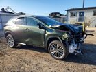2025 Lexus Nx 350h Base Зеленый vin: JTJGKCEZ2S2048881