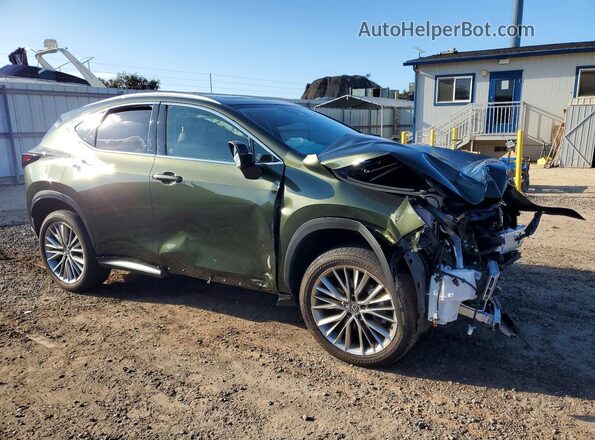 JTJGKCEZ2S2048881 2025 LEXUS NX Зеленый Передняя правая четверть