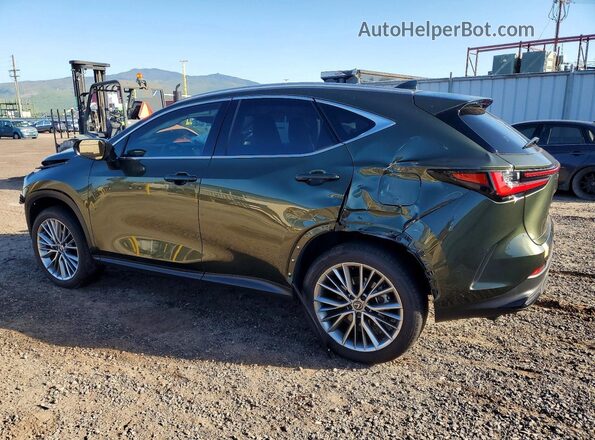 JTJGKCEZ2S2048881 2025 LEXUS NX Зеленый Задняя левая четверть