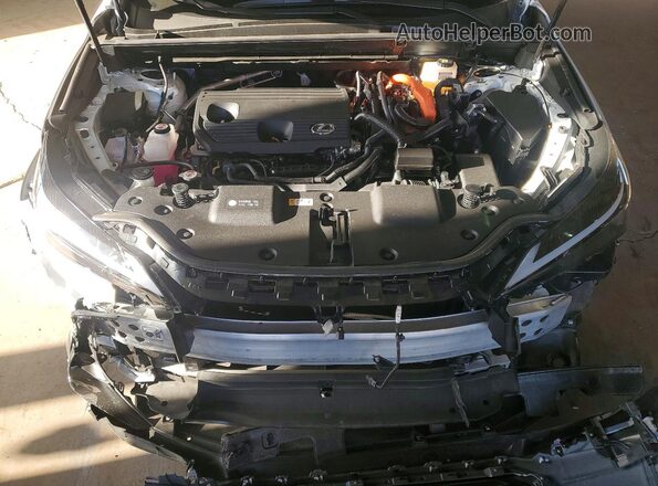 JTJGKCEZ2S5038642 2025 LEXUS NX Белый Вид задней части салона