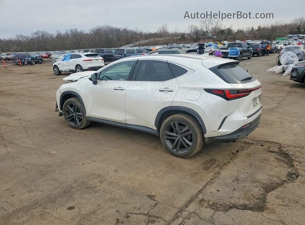 JTJHKCFZ5P2015772 2023 LEXUS NX Белый Задняя левая четверть