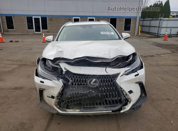 JTJHKCFZ5P2015772 2023 LEXUS NX Белый Вид спереди