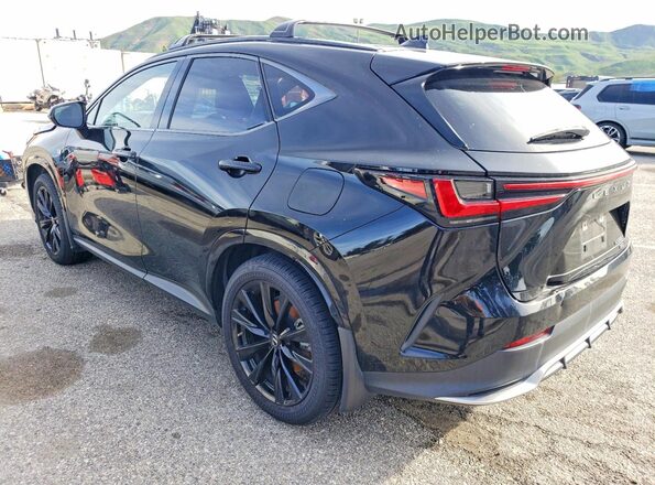 JTJKGCEZ2P5005076 2023 LEXUS NX Черный Задняя левая четверть