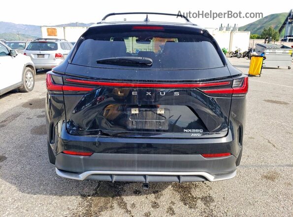 JTJKGCEZ2P5005076 2023 LEXUS NX Черный Вид сзади