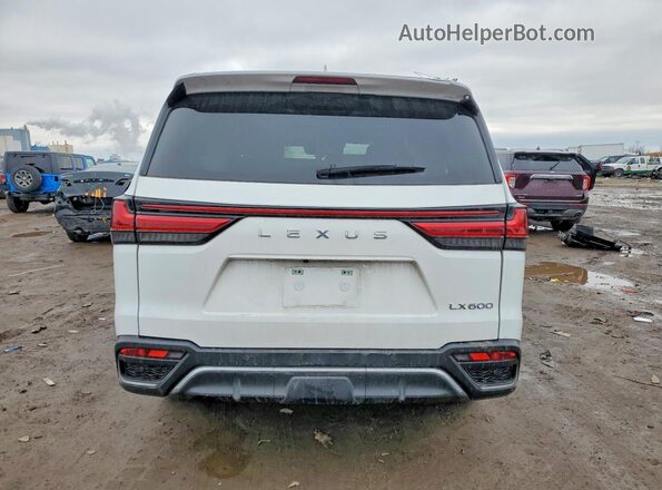 JTJMB7CX2R4060426 2024 LEXUS LX White Widok z tyłu