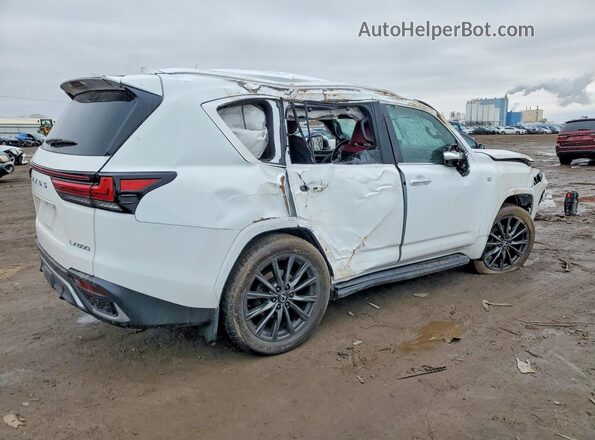 JTJMB7CX2R4060426 2024 LEXUS LX White Tył prawy