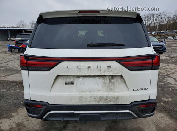 JTJMB7CX3R4041349 2024 LEXUS LX Белый Вид сзади