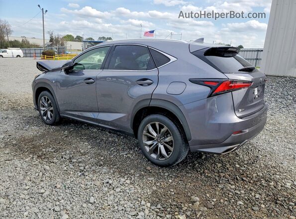 JTJSARBZ0L2158351 2020 LEXUS NX Gray Հետևի ձախ
