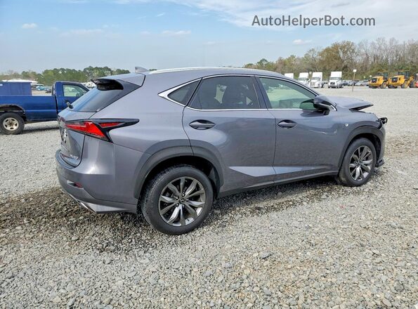JTJSARBZ0L2158351 2020 LEXUS NX Gray Հետևի աջ