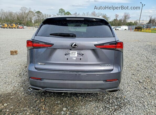 JTJSARBZ0L2158351 2020 LEXUS NX Gray Հետևի տեսք