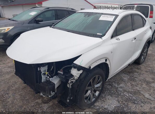 JTJSARBZ5M2188236 2021 LEXUS NX 300 White 