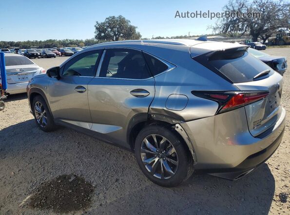 JTJSARBZ9M2200498 2021 LEXUS NX Gray Հետևի ձախ