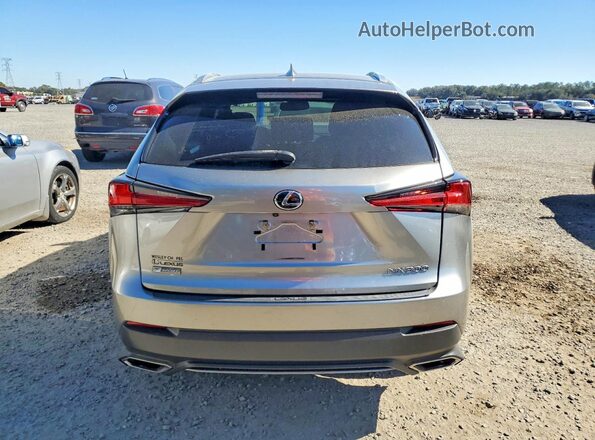JTJSARBZ9M2200498 2021 LEXUS NX Gray Հետևի տեսք