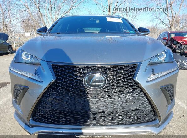 JTJSARDZ4L5009016 2020 LEXUS NX 300 Silver ხელსაწყოთა პანელის ხედი