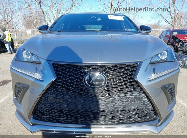 JTJSARDZ4L5009016 2020 LEXUS NX 300 Silver წინა ხედი