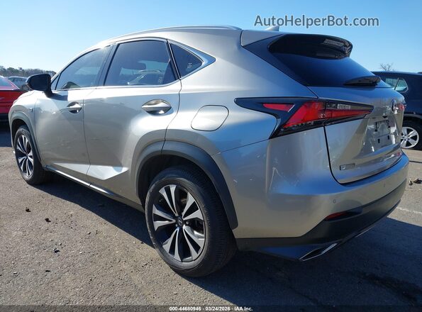 JTJSARDZ4L5009016 2020 LEXUS NX 300 Silver უკანა მარცხენა