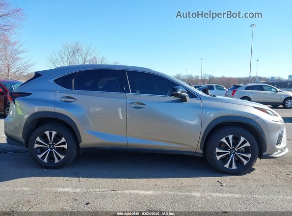 JTJSARDZ4L5009016 2020 LEXUS NX 300 Silver უკანა სალონის ხედი