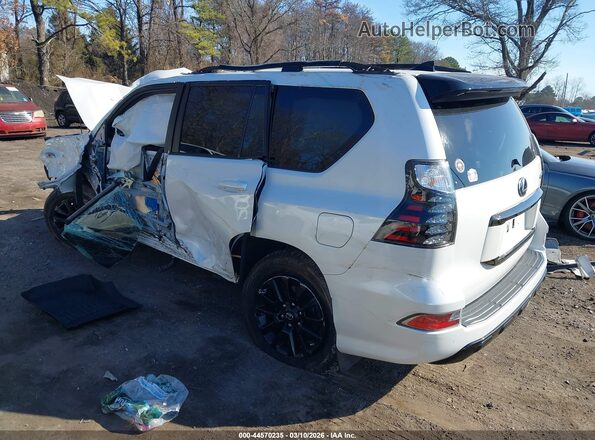 JTJSM7BX4P5339600 2023 LEXUS GX 460 White Задня ліва чверть