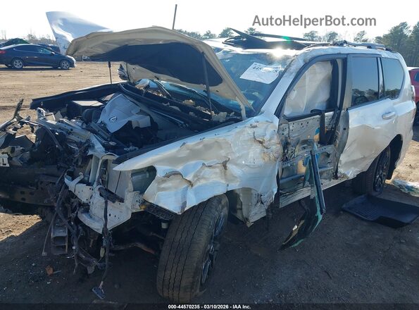 JTJSM7BX4P5339600 2023 LEXUS GX 460 White Вид спереду