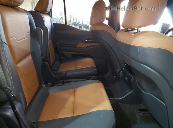 JTJVBCDX9S5065103 2025 LEXUS GX Серебряный Вид задней части салона