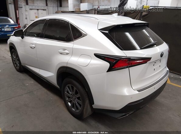 JTJYARBZ3K2117091 2019 LEXUS NX 300 Белый Задняя левая четверть