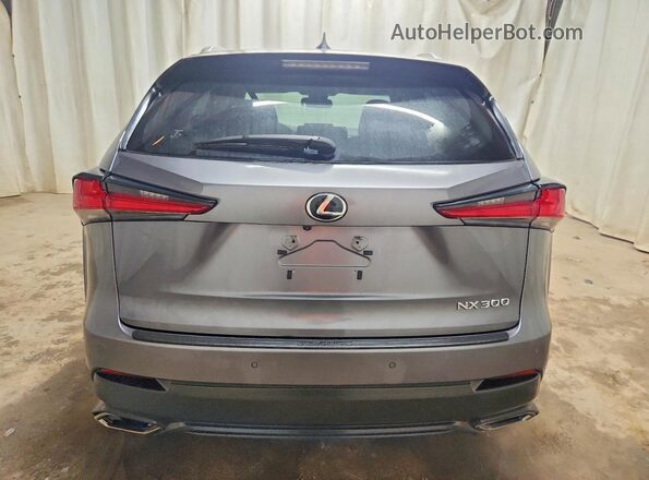JTJYARBZXJ2114803 2018 LEXUS NX Серый Вид сзади