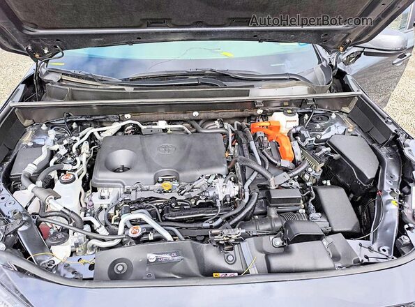 JTMAB3FV0RD208386 2024 TOYOTA RAV4 Серый Вид подкапотного пространства
