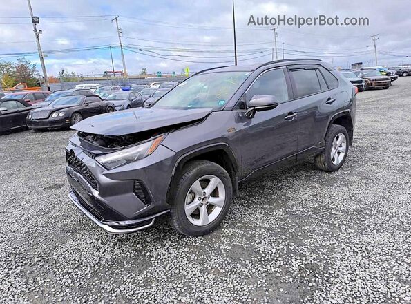 JTMAB3FV0RD208386 2024 TOYOTA RAV4 Серый Передняя левая четверть