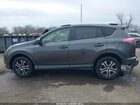 2016 Toyota Rav4 Le Gray vin: JTMBFREV1GD189549