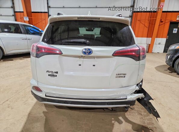 JTMDJREV7GD035709 2016 TOYOTA LIMITED Белый Вид сзади