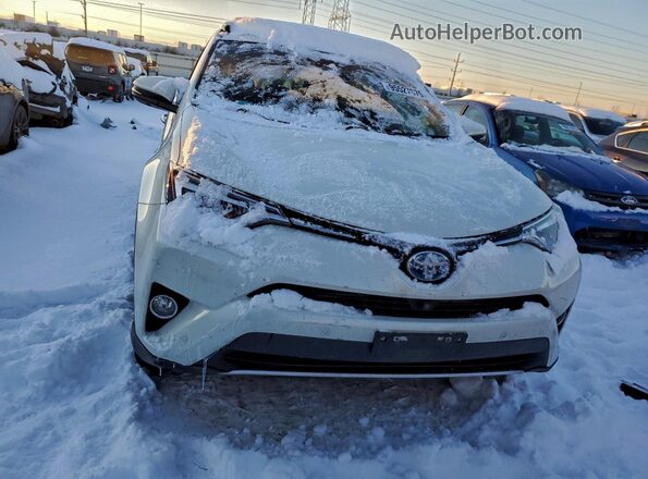 JTMDJREV9GD058649 2016 TOYOTA RAV4 White Widok z przodu