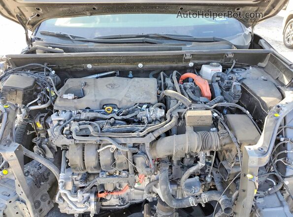 JTME6RFV2PJ035042 2023 TOYOTA RAV4 Gray Вид задньої частини салону