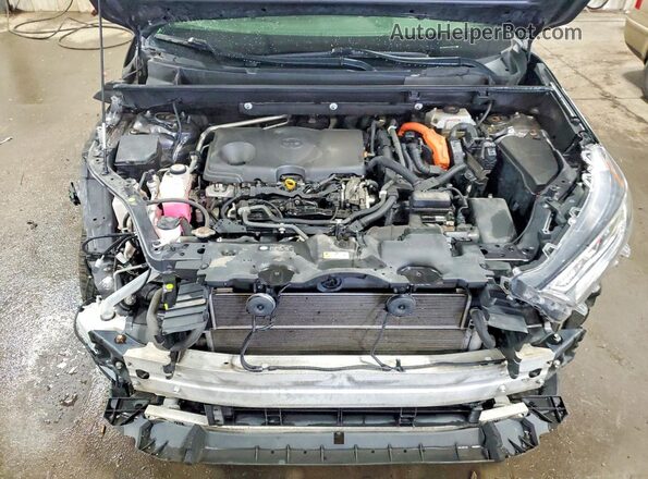 JTMEWRFV3LJ032144 2020 TOYOTA RAV4 Gray Vista del compartimento del motor