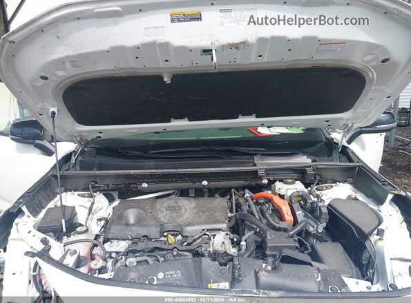 JTMEWRFV4KD513629 2019 TOYOTA RAV4 HYBRID White Widok z tyłu
