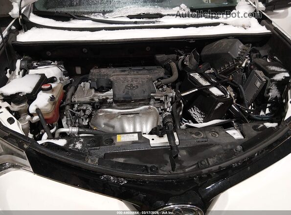 JTMJFREV4GD181926 2016 TOYOTA RAV4 White Rear view