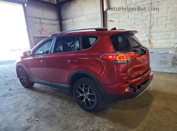 JTMNFREV2HJ148430 2017 TOYOTA RAV4 Red Задня ліва чверть