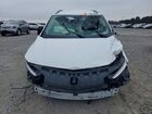 2024 Buick Encore Gx Sport Touring White vin: KL4AMESL7RB173278
