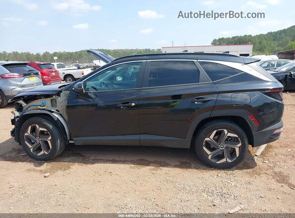 KM8JCCD12RU151519 2024 HYUNDAI TUCSON HYBRID Черный Панорамный вид салона 360°