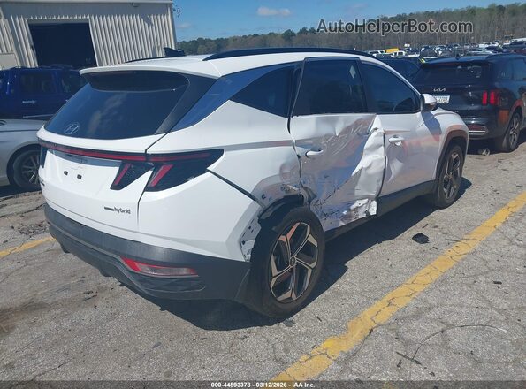 KM8JCCD12RU185864 2024 HYUNDAI TUCSON HYBRID Белый Задняя правая четверть
