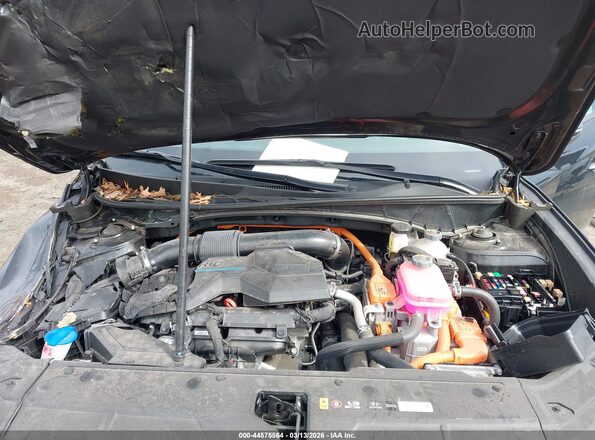 KM8JCCD14RU229797 2024 HYUNDAI TUCSON HYBRID Черный Вид сзади