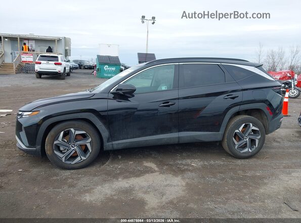 KM8JCCD14RU229797 2024 HYUNDAI TUCSON HYBRID Черный Панорамный вид салона 360°